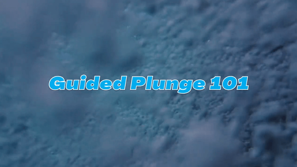 Plunge 101