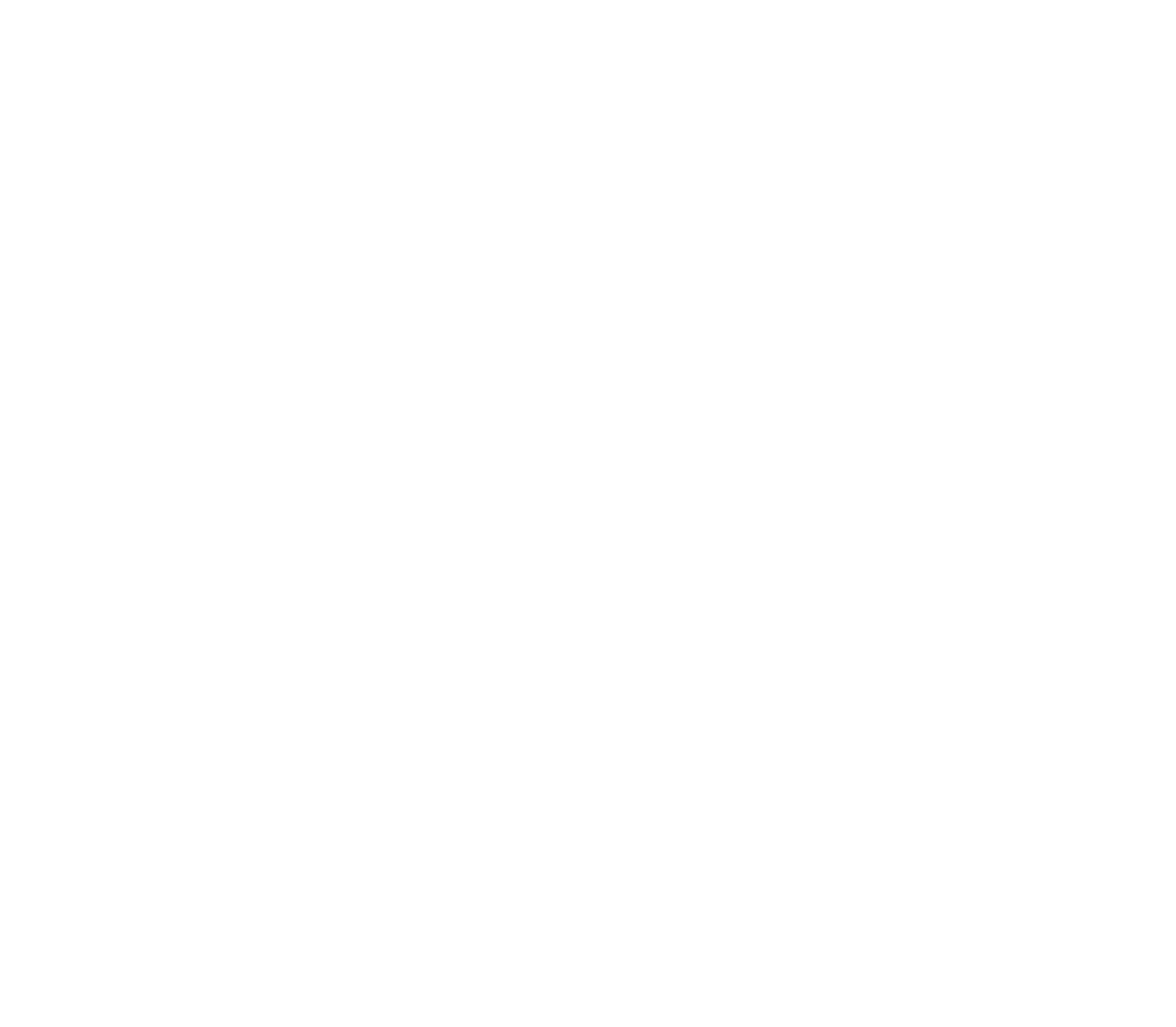 WS Black Friday Logo White scaled